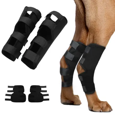 Dog Leg Braces for Fix Hock Sprains 01