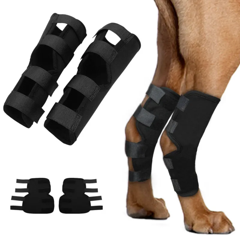 Dog Leg Braces for Fix Hock Sprains00