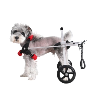 Dog Wheelchairs for Dog Back Legs Paralyzed