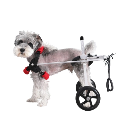 Dog Wheelchairs for Dog Back Legs Paralyzed 01