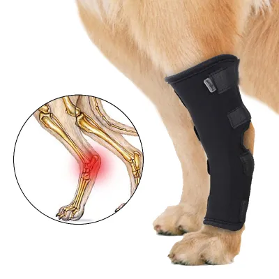 DOGLEMI Dog Hock Braces Fix Hock Joint Damage