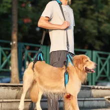 DOGLEMI Full Body Dog Lifting Harness07