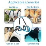 DOGLEMI Full Body Dog Lifting Harness