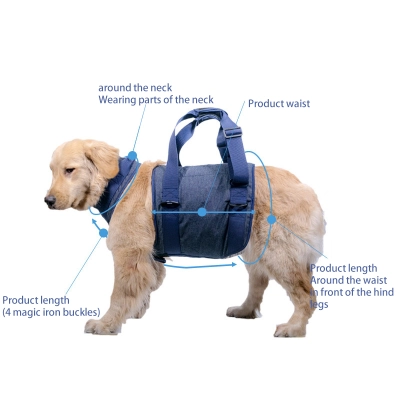 Dog Lift Harness With Handle 02