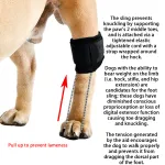 Dog NO-Knuckling Training Brace