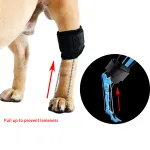 Dog NO-Knuckling Training Brace