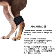 Dog NO-Knuckling Training Brace02
