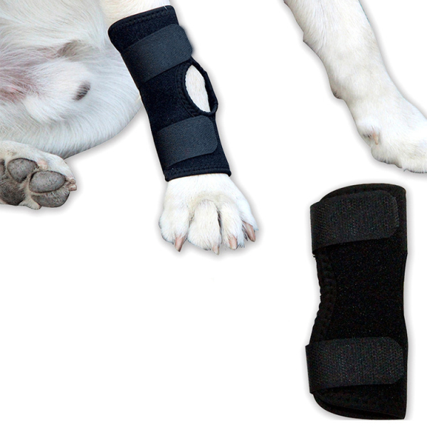 Dog Leg Braces for Fix Joints Sprains