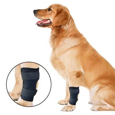 Dog Leg Braces for Fix Joints Sprains 01