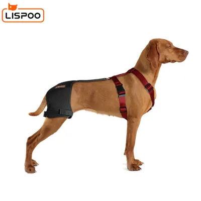 LISPOO Dog Hip Brace for Hip Dysplasia 01
