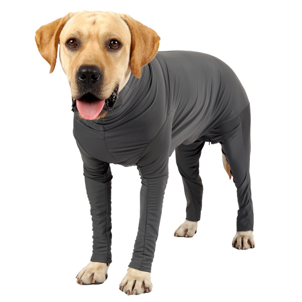 Bodysuits for Dogs After Surgery