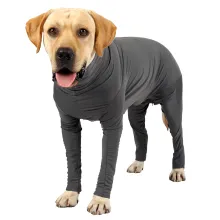 Bodysuits for Dogs After Surgery00