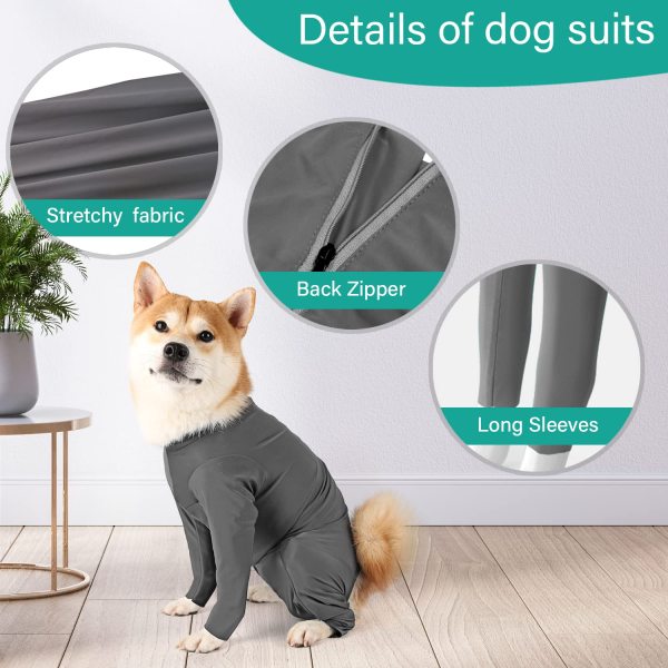 Bodysuits for Dogs After Surgery