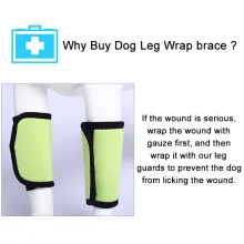 Dog Leg Brace for Hock Wrist Joint Protection02