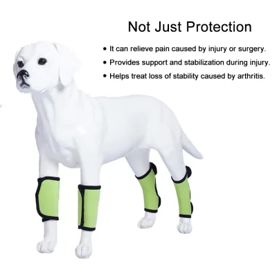 Dog Leg Brace for Hock Wrist Joint Protection 02