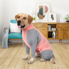 Dog Surgical Recovery Suit