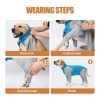 Dog Surgical Recovery Suit