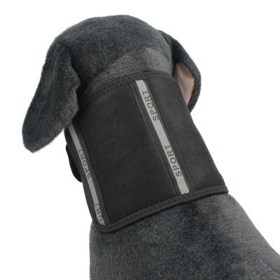 Dog Neck Brace 02