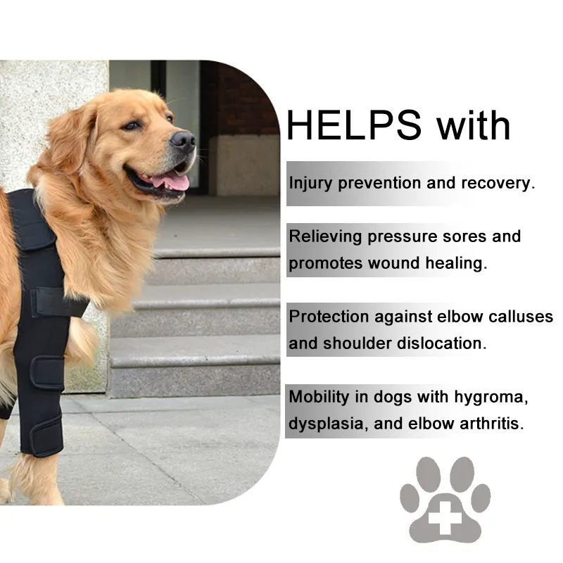 Dog Leg Wrap for Prevent Licking Chewing
