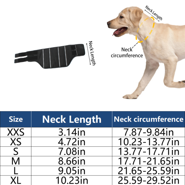 Dog Neck Brace