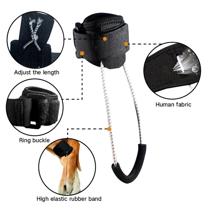 Dog NO-Knuckling Training Brace01