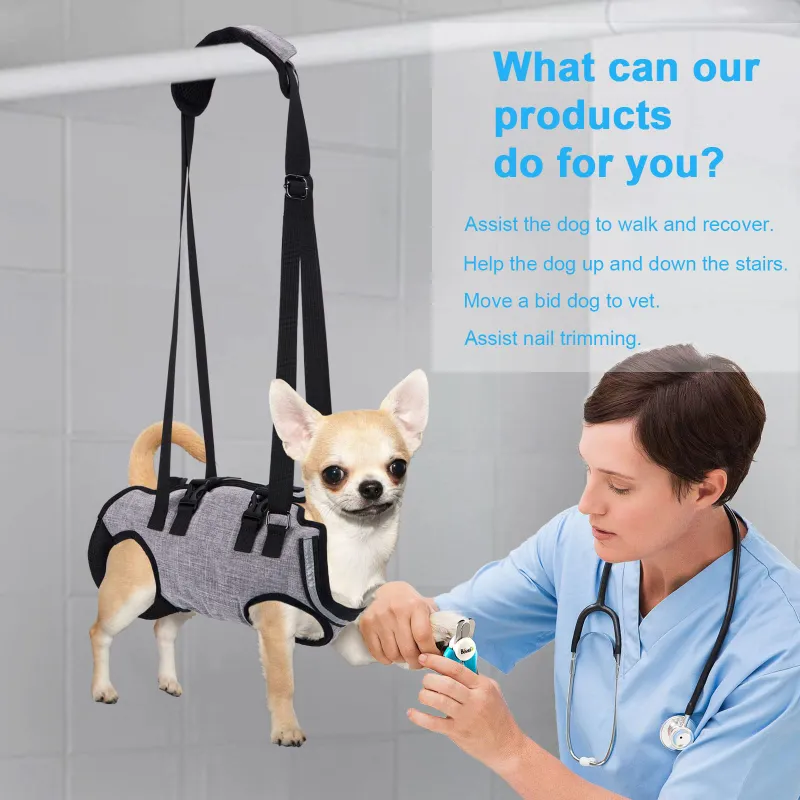 Full Body Dog Lifting Harness With Storage Bag