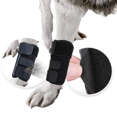 Dog Carpal Brace For Support 01