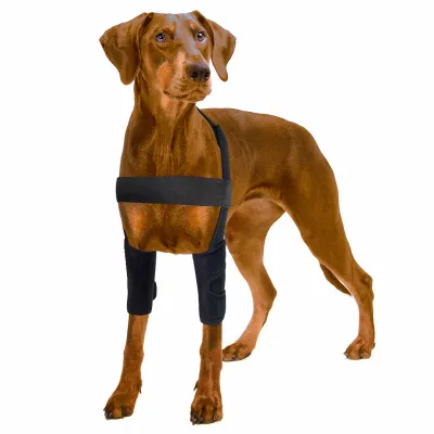 Dog Leg Wrap for Prevent Licking Chewing 01