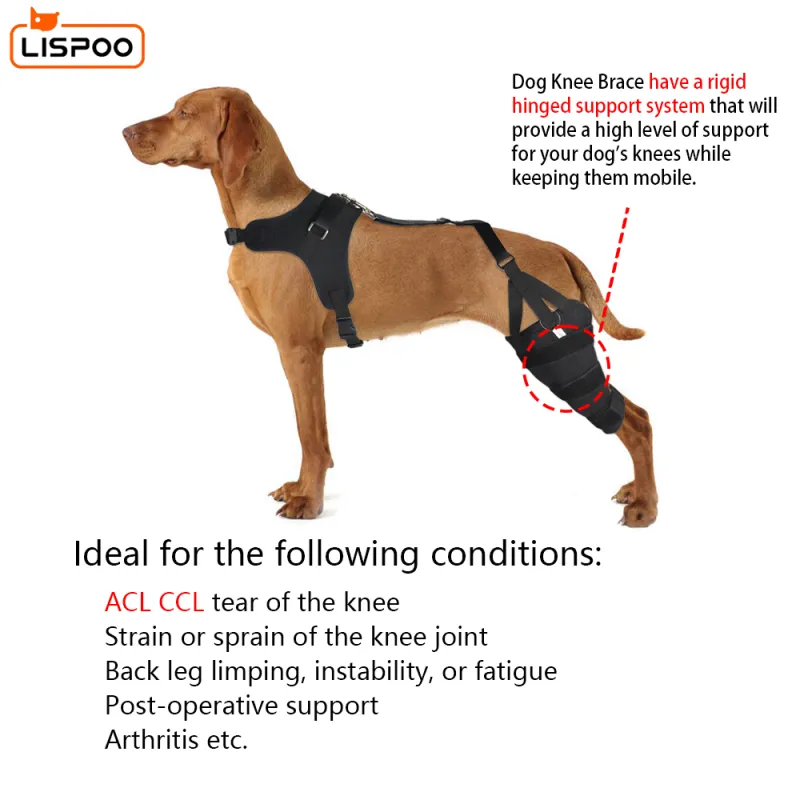 LISPOO Dog Knee ACL Brace With Metal Splint Hinged Flexible Support01