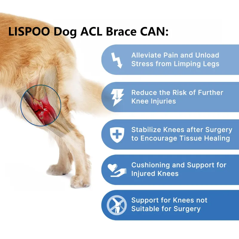 LISPOO Dog Knee ACL Brace With Metal Splint Hinged Flexible Support05