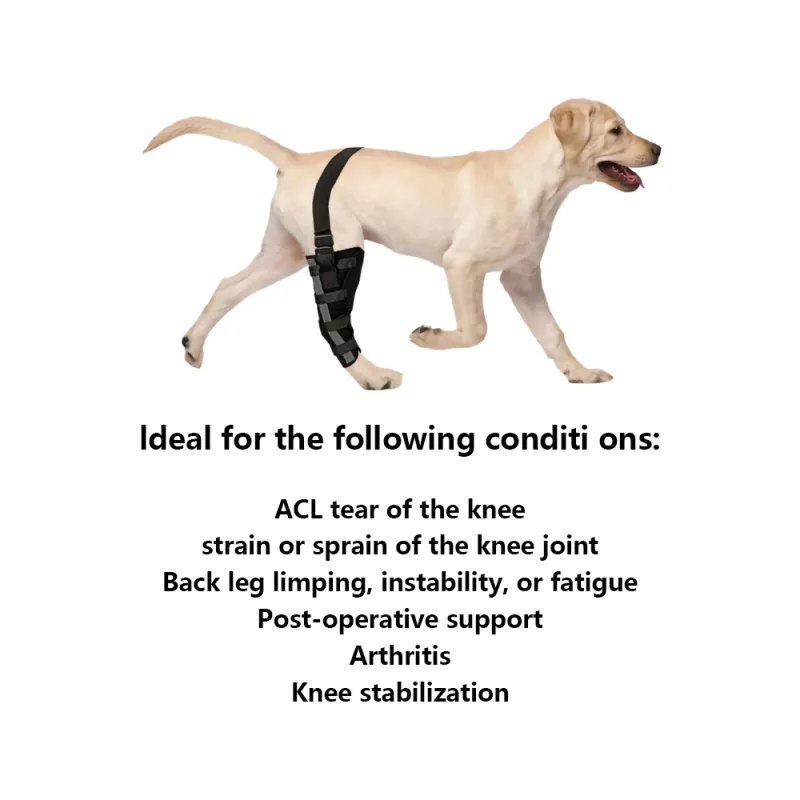 Dog Leg Brace with Reflective Metal Support03