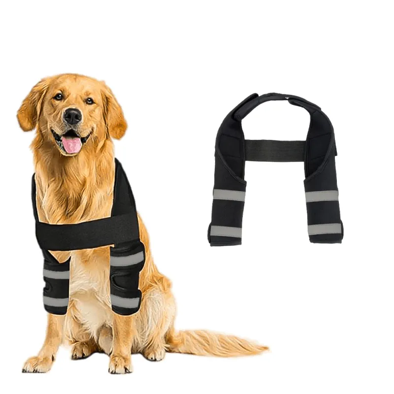 DOGLEMI Back Brace for Dogs With IVDD - Crawlpaw