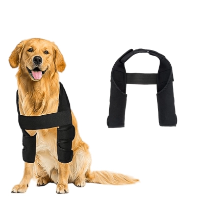 Dog Elbow Dysplasia Brace 02