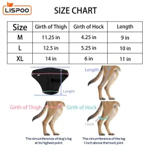 LISPOO Dog Knee ACL Brace With Metal Splint Hinged Flexible Support07