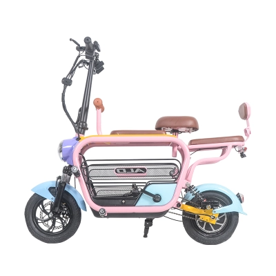 Electric Bike with Dog Basket 01