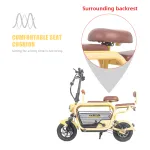 Electric Bike with Dog Basket