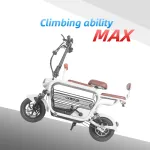 Electric Bike with Dog Basket