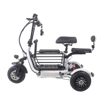 Folding Electric Tricycles For Traveling With Pets