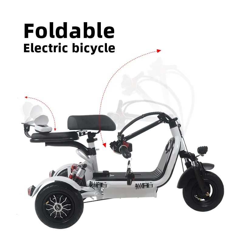 Folding Electric Tricycles For Traveling With Pets04