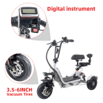 Folding Electric Tricycles For Traveling With Pets
