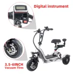 Folding Electric Tricycles For Traveling With Pets
