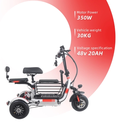 Folding electric tricycle for traveling with pets 02