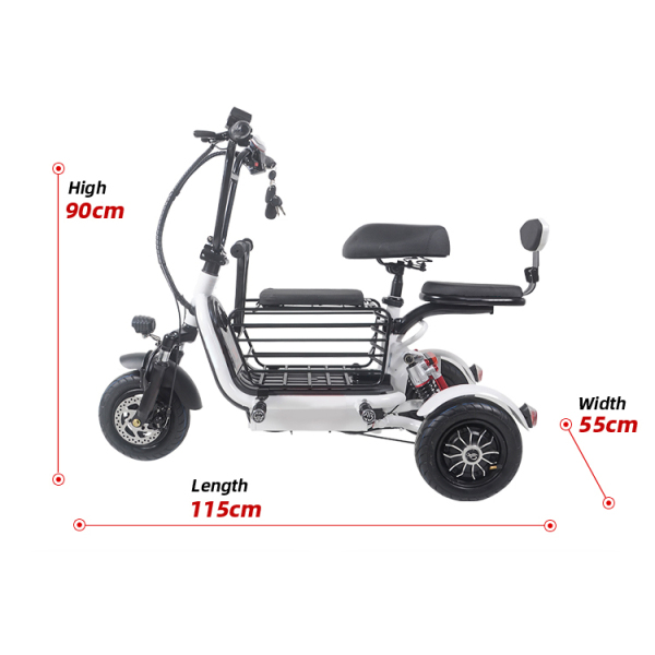 Folding Electric Tricycles For Traveling With Pets