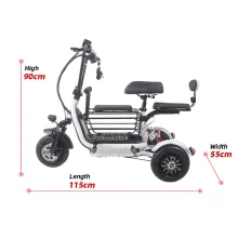 Folding Electric Tricycles For Traveling With Pets05