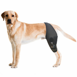 Dog Knee Brace With Adjustable Hinge Stabilizer