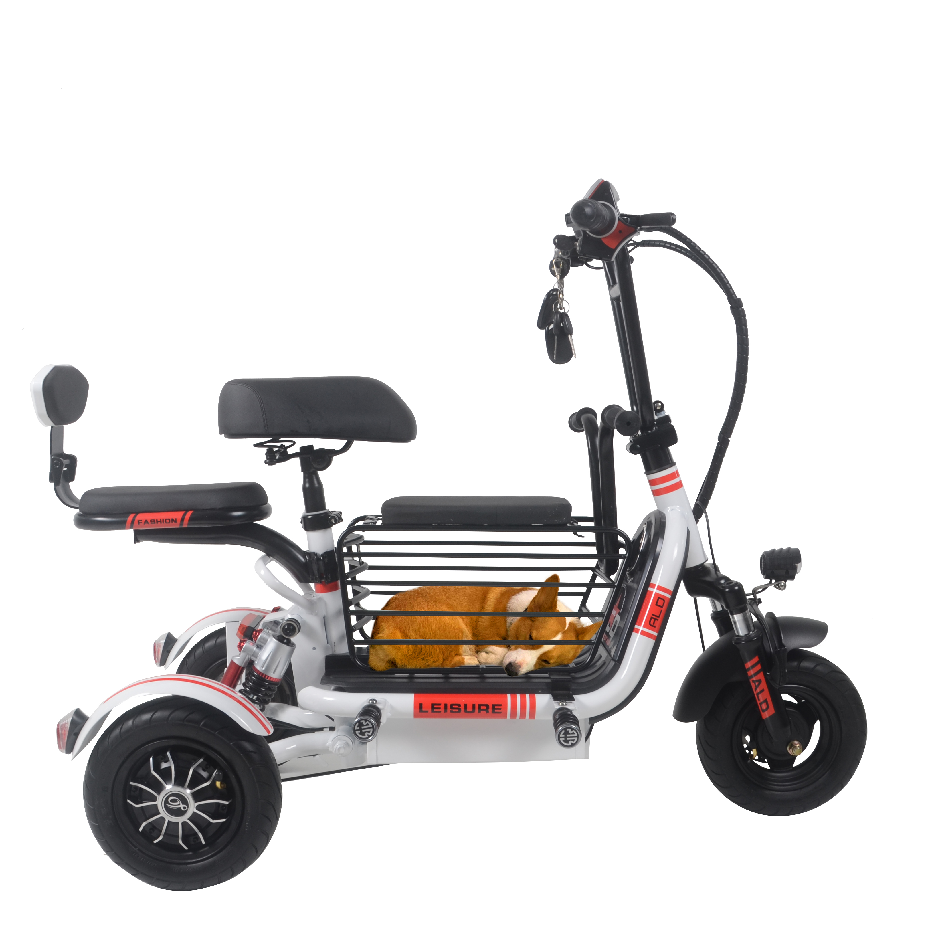 Folding Electric Tricycles For Traveling With Pets