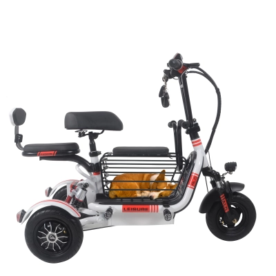 Folding electric tricycle for traveling with pets 01