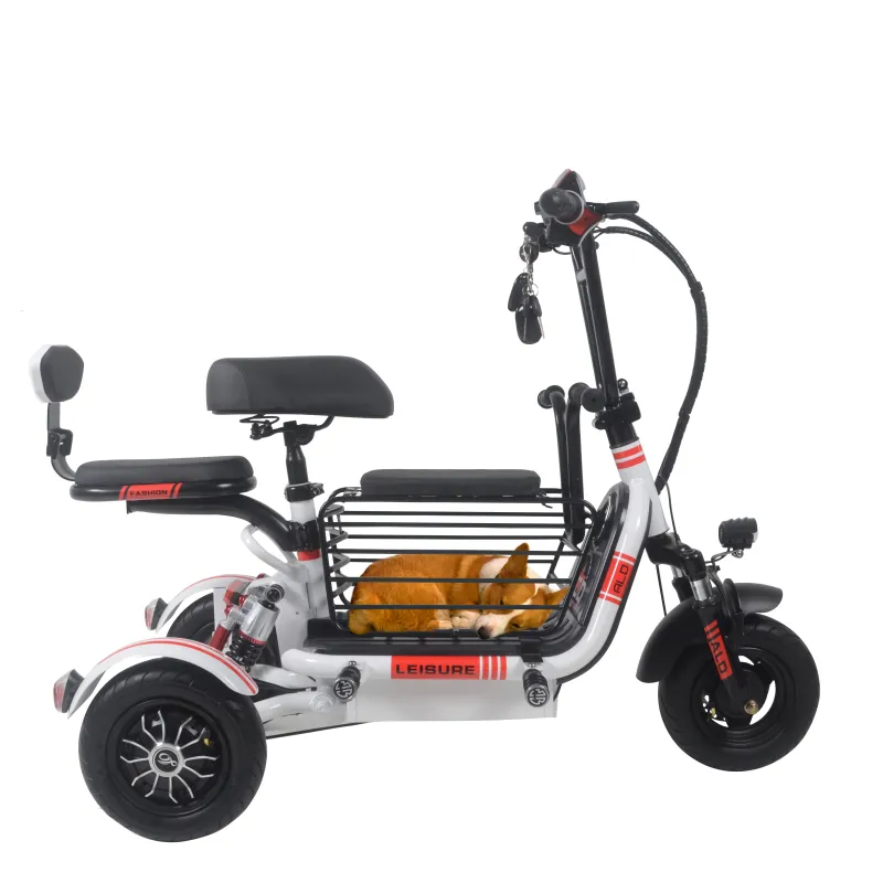 Folding Electric Tricycles For Traveling With Pets00