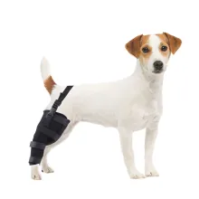 Dog Knee Braces For Back Legs00
