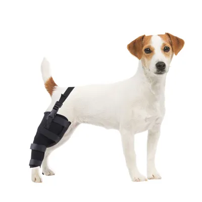 Dog Knee Braces For Back Legs 01